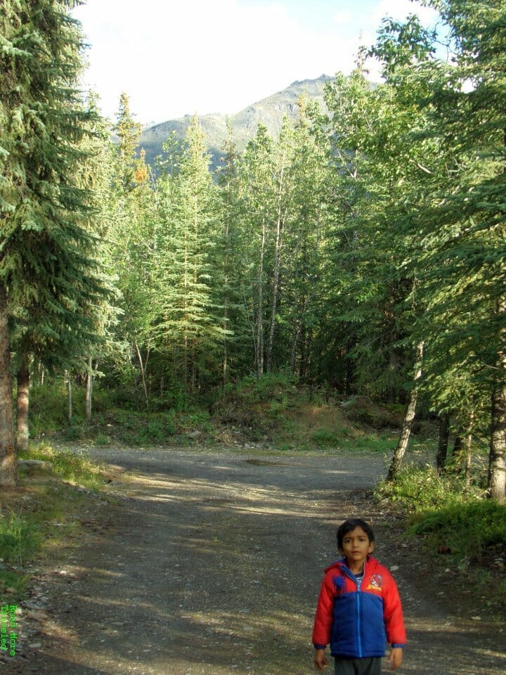 Enjoying the scenery in Wiseman, Alaska