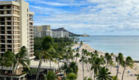 a beach with palm trees and buildings