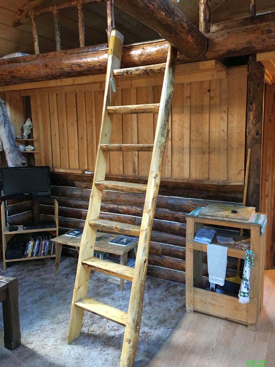 Boreal cabin living room ladder