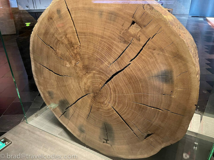 a large piece of wood