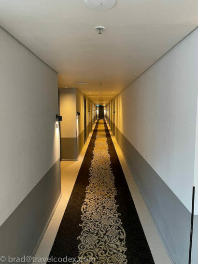 a long hallway with a carpet on the floor