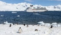 a cruise ship in the water with penguins on the snow