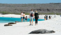 a group of people walking on a beach