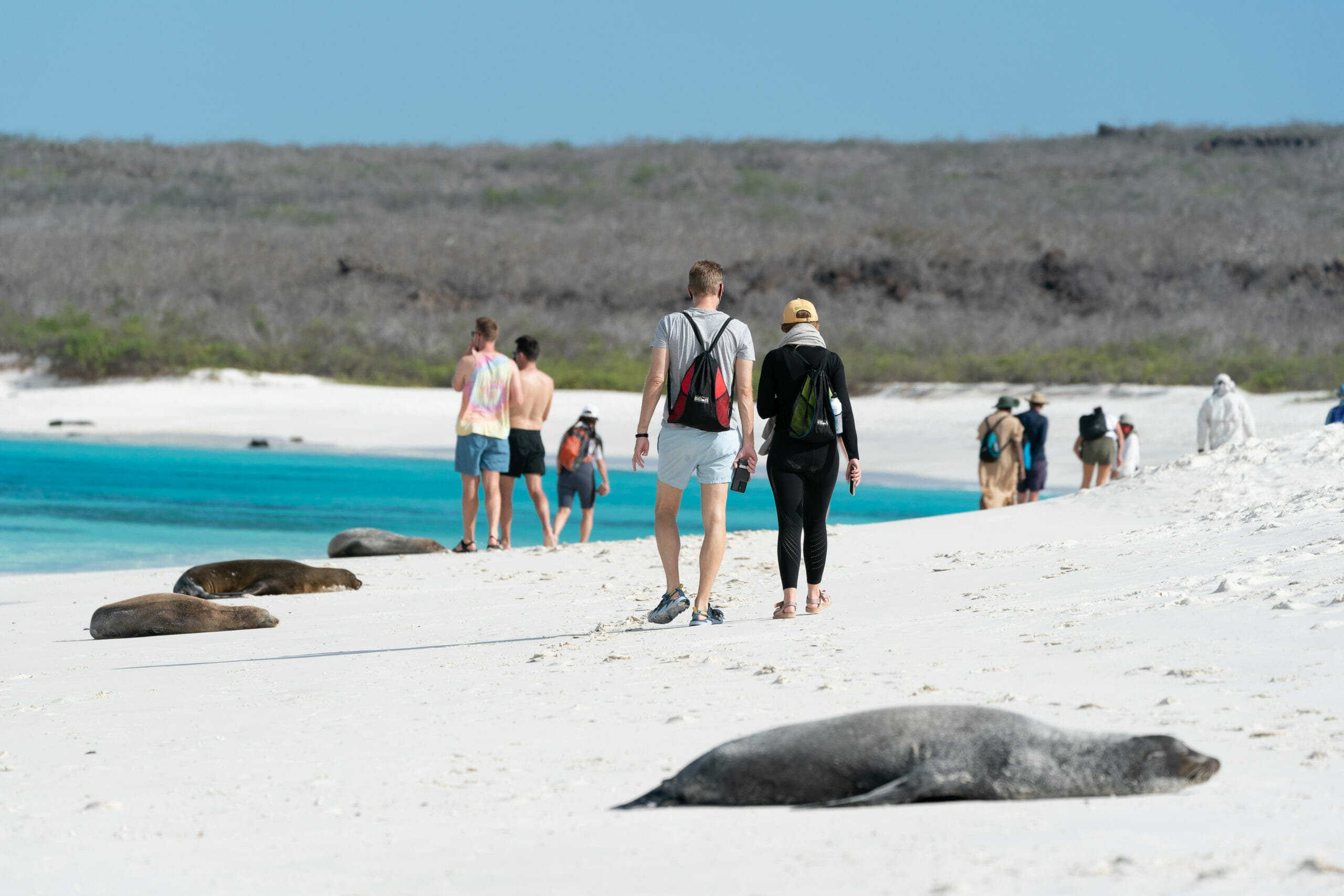 a group of people walking on a beach