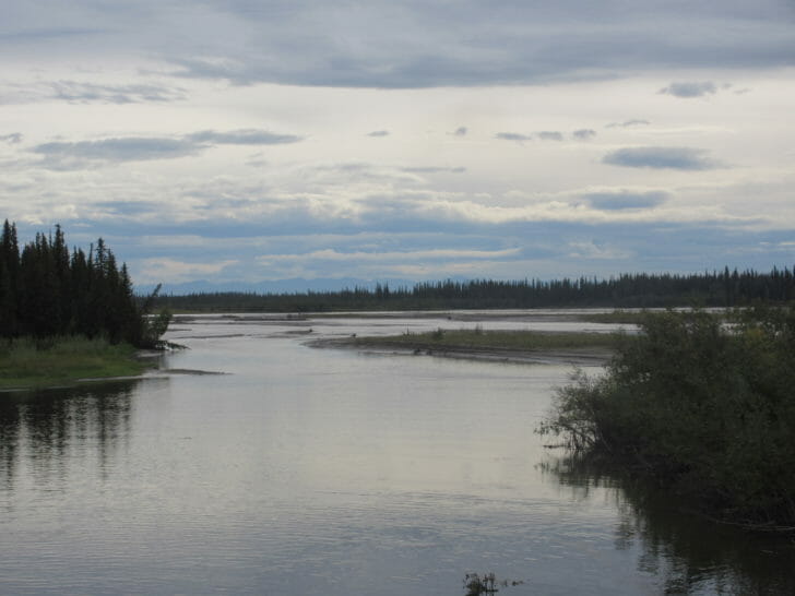 a river with trees and bushes