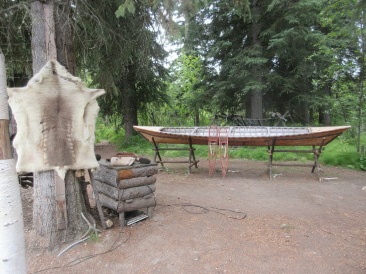 a canoe and fur on a tree