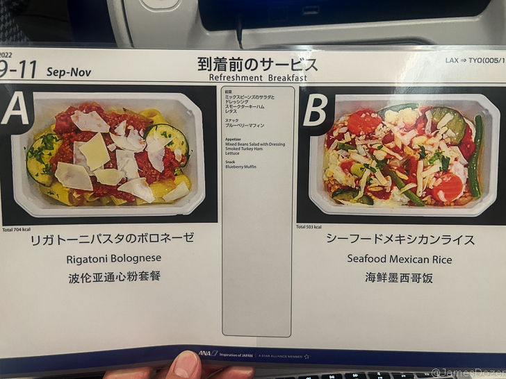 a hand holding a menu