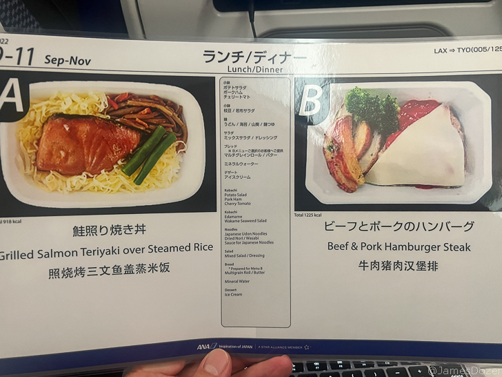 a hand holding a menu