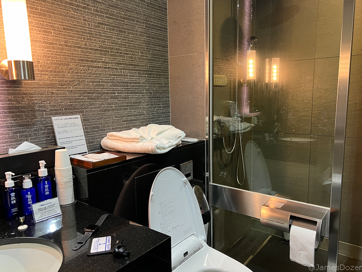 a bathroom with a shower and toilet