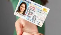 a hand holding a driver license