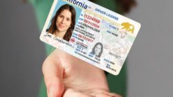 a hand holding a driver license