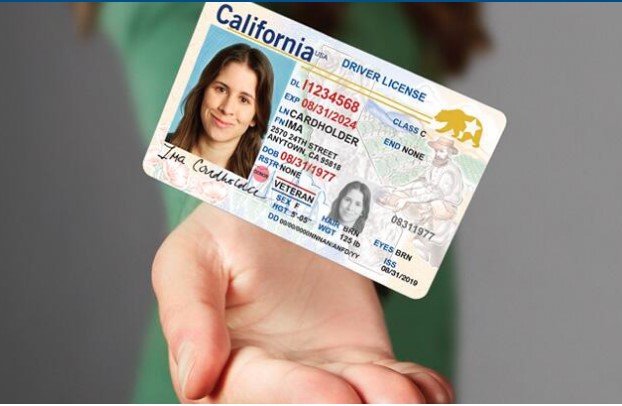 a hand holding a driver license