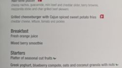 Qatar Airways Terrible Business Class World Cup Menu