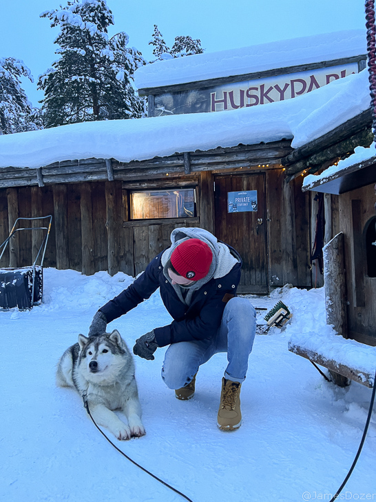 a person kneeling next to a dog in the snow