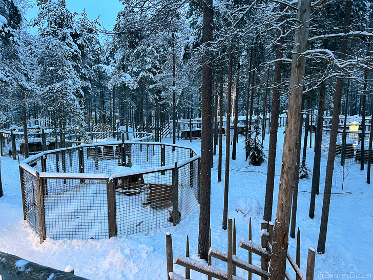 a snowy forest with trees and a fence