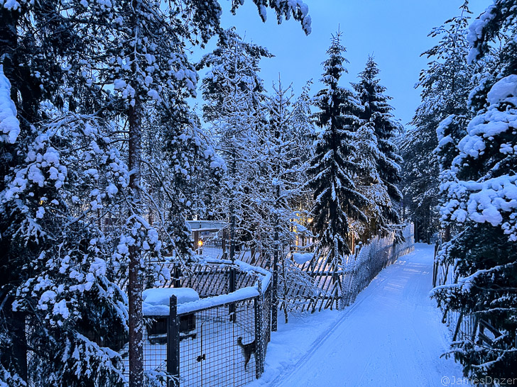 a snowy path with trees and a fence
