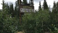 Denali Grizzly Bear Resort, Denali Park, Alaska
