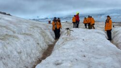 a group of people walking on snow