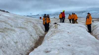 a group of people walking on snow