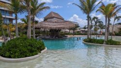 a pool with palm trees and a hut