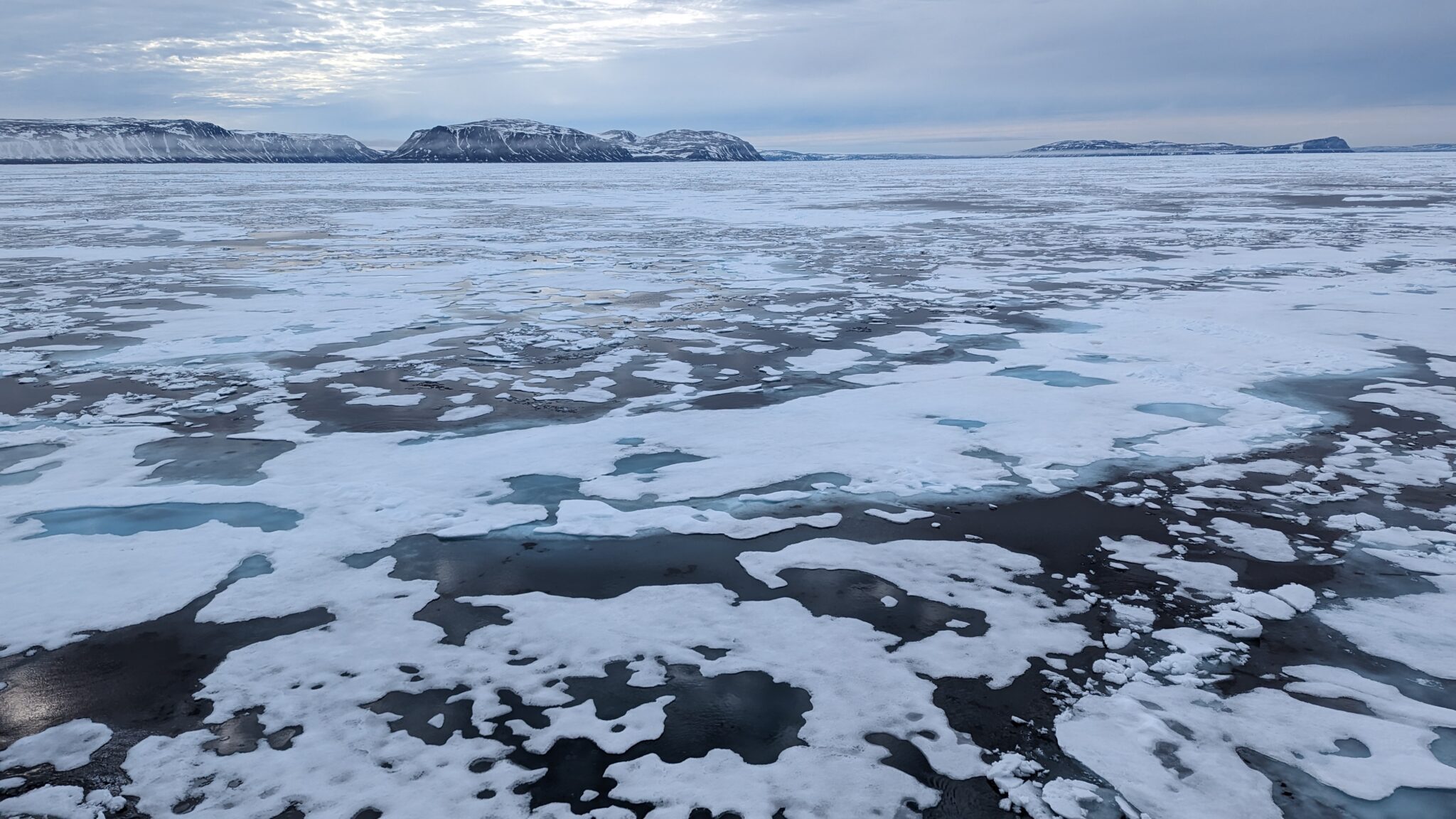 Arctic Sea Ice