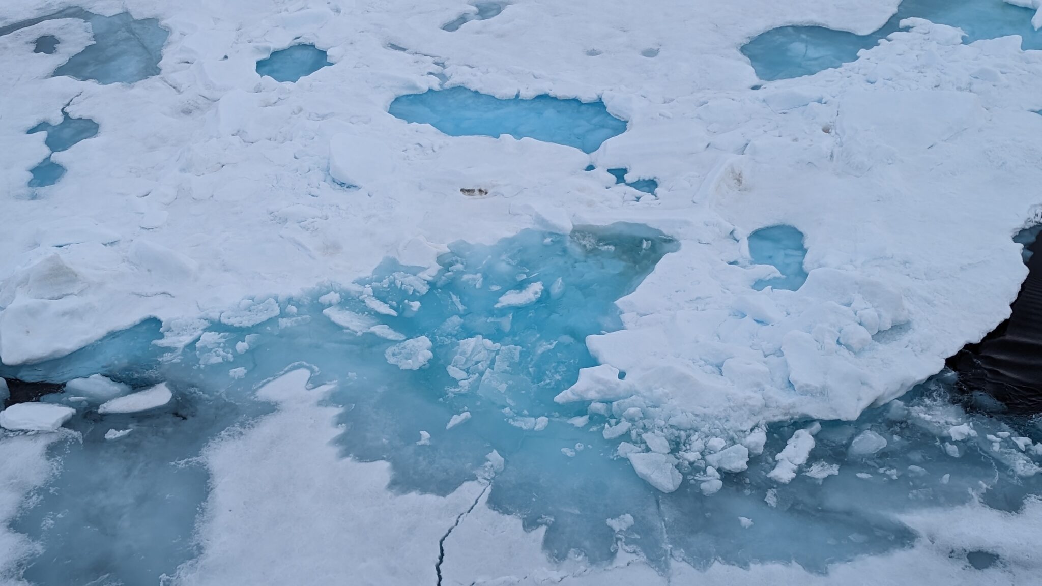 Arctic Sea Ice