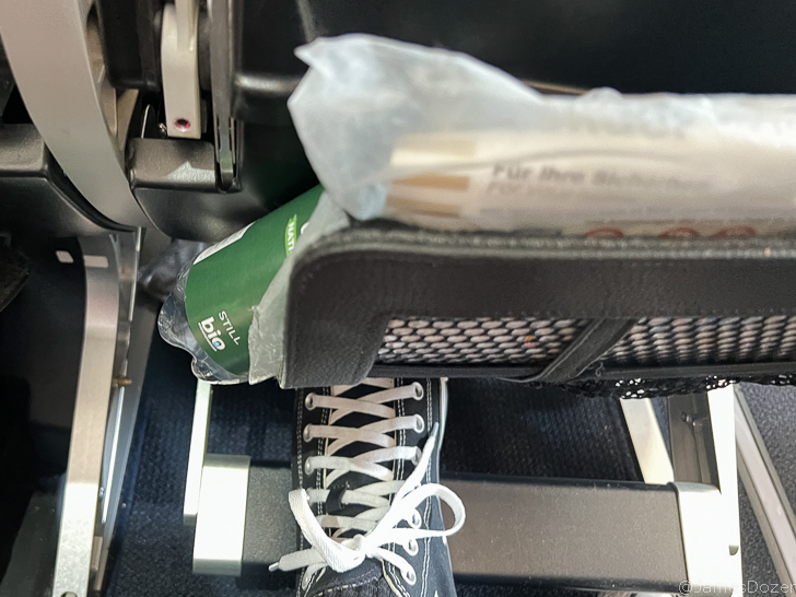 a shoe in a bag