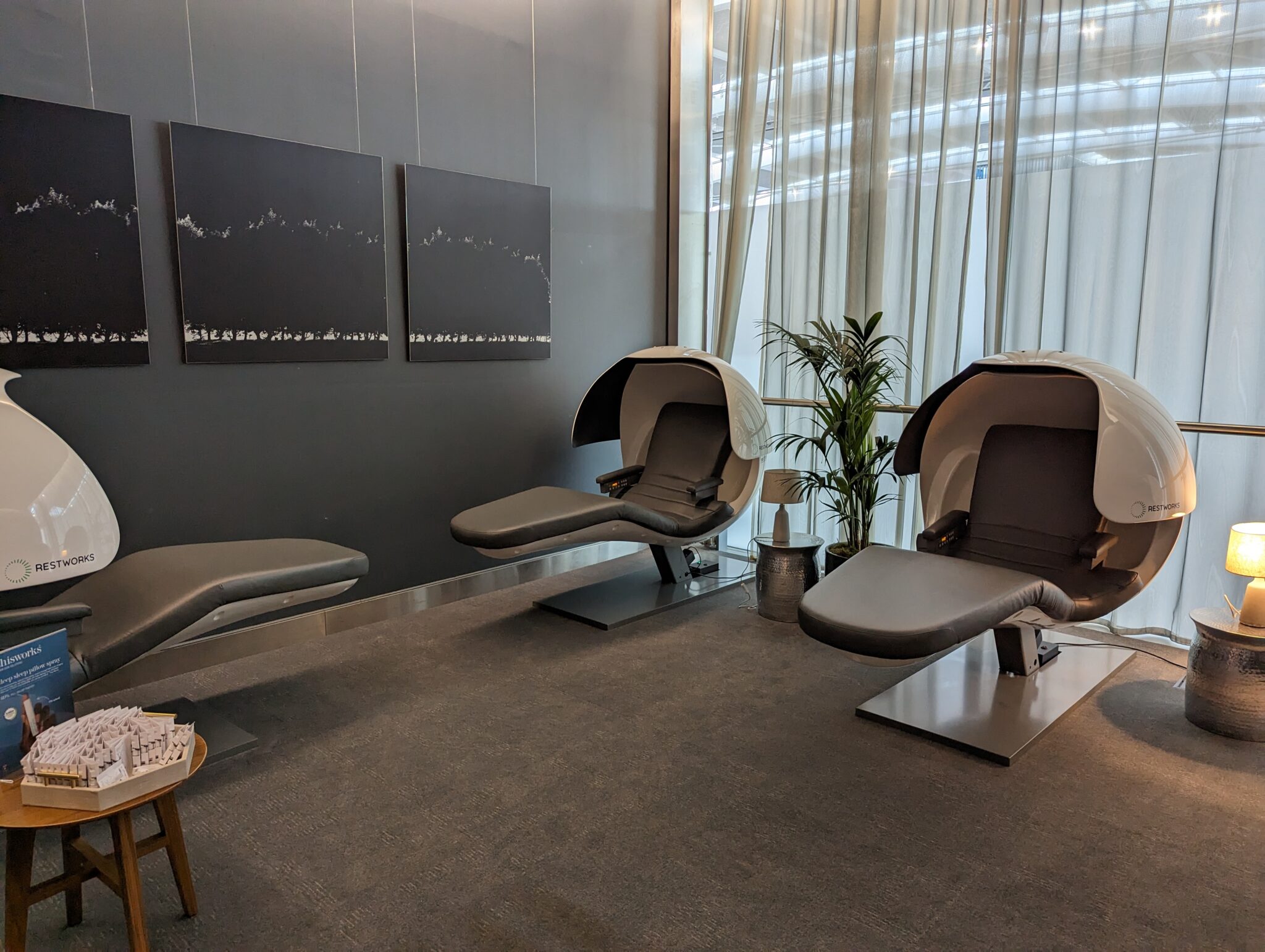 a room with chairs and a plant