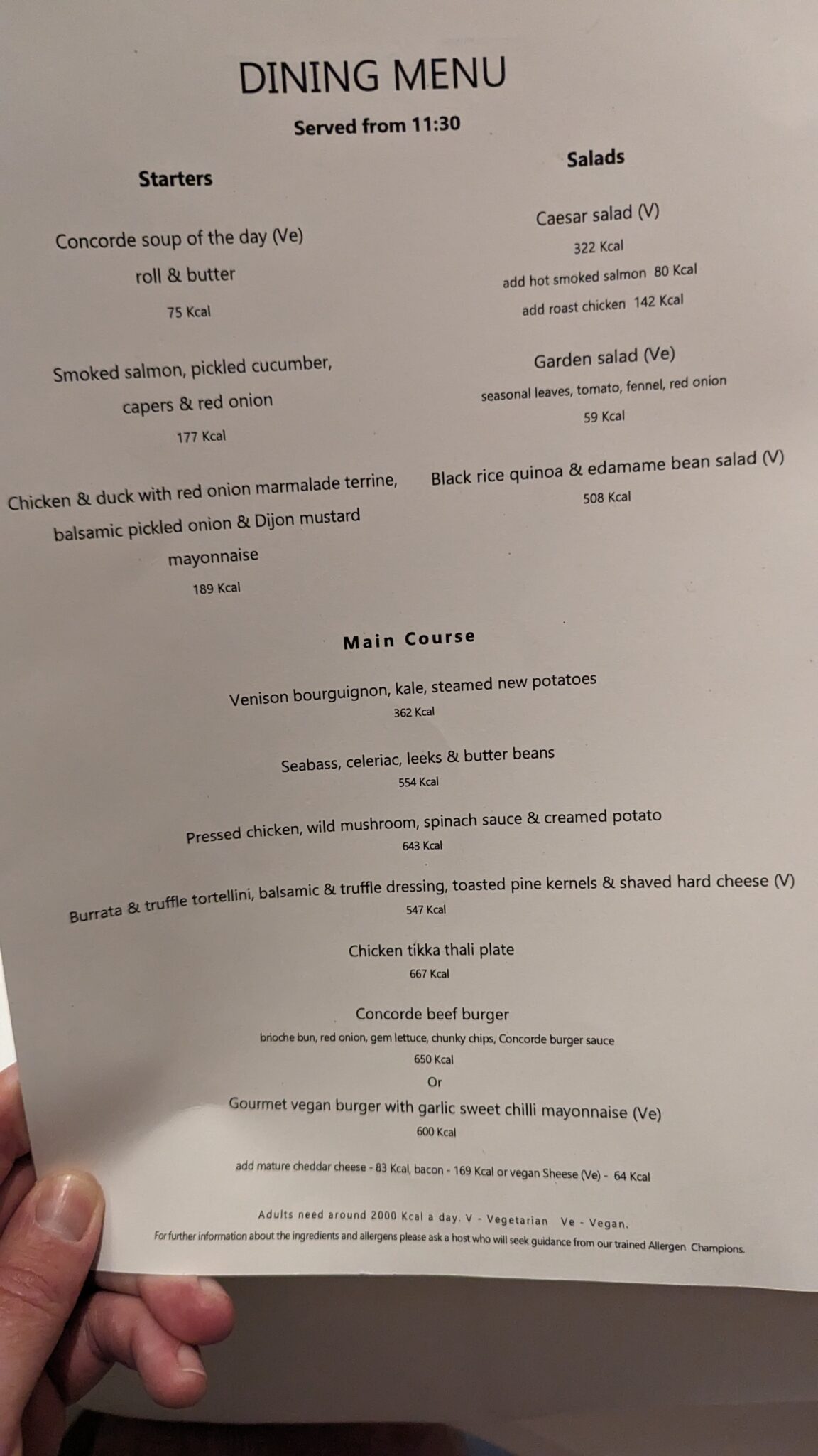 a hand holding a menu