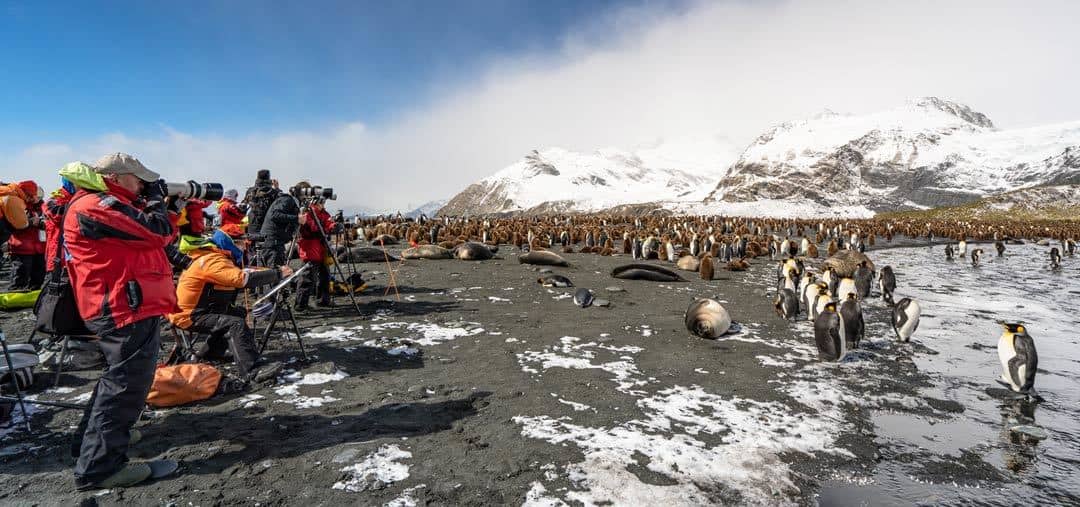 a cameraman taking a picture of a group of penguins