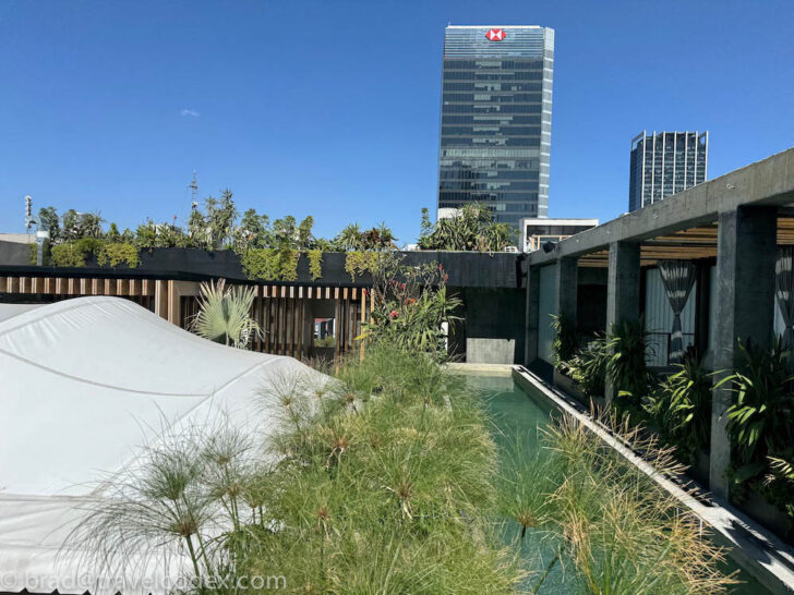 a pool with plants in front of a building