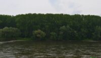 Nature reserve along Danube River, east of Vienna