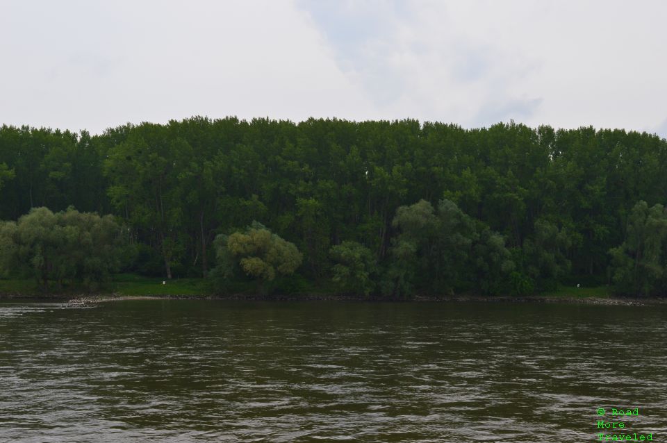 Nature reserve along Danube River, east of Vienna