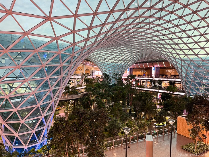 a glass dome with trees and a walkway