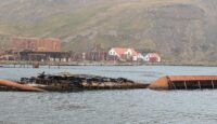 Grytviken whaling station