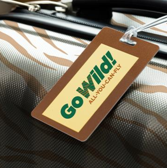 Frontier All You Can Fly for 399 Travel Codex