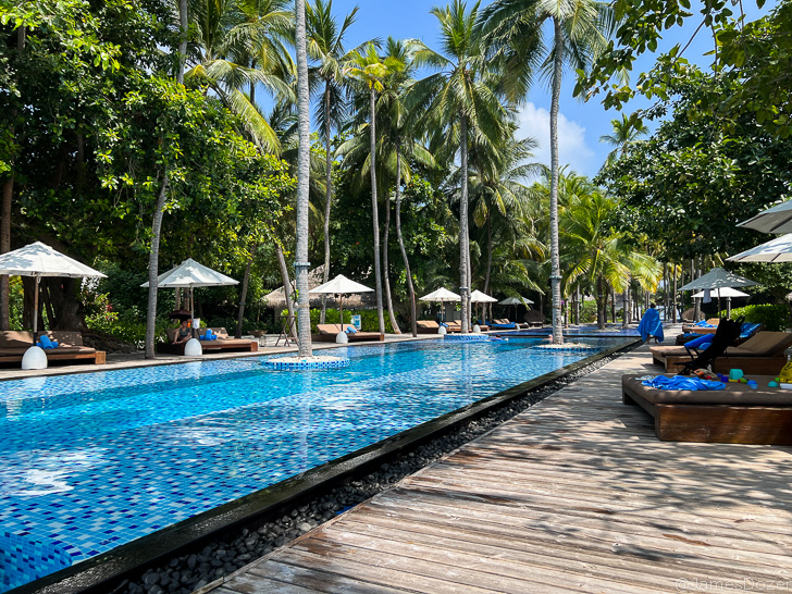 a pool with umbrellas and palm trees