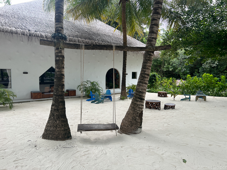 a swing in a sand area with palm trees