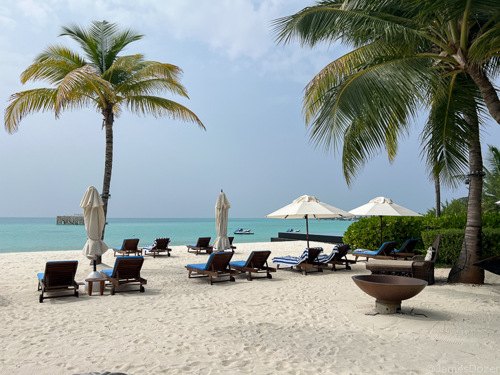 a beach with chairs and umbrellas and palm trees
