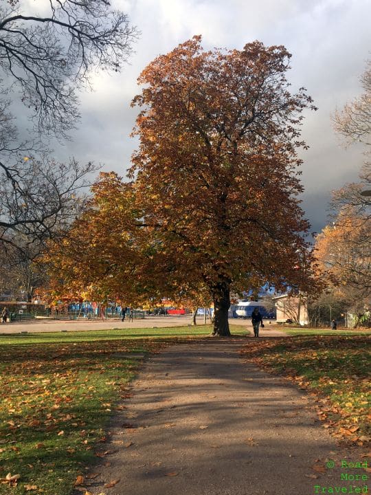 Fall foliage in Kaisaniemi Park, Helsinki