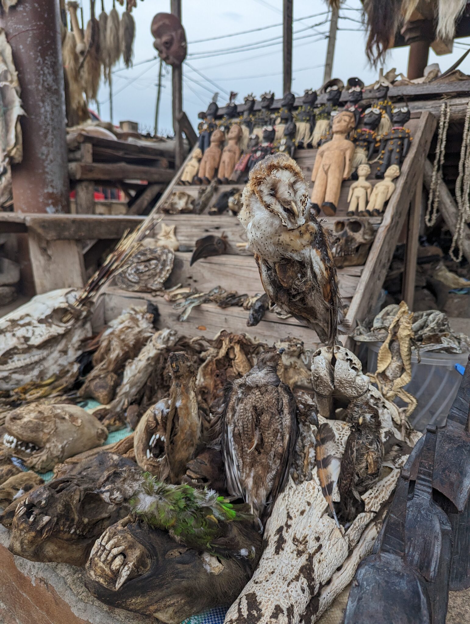 voodoo market