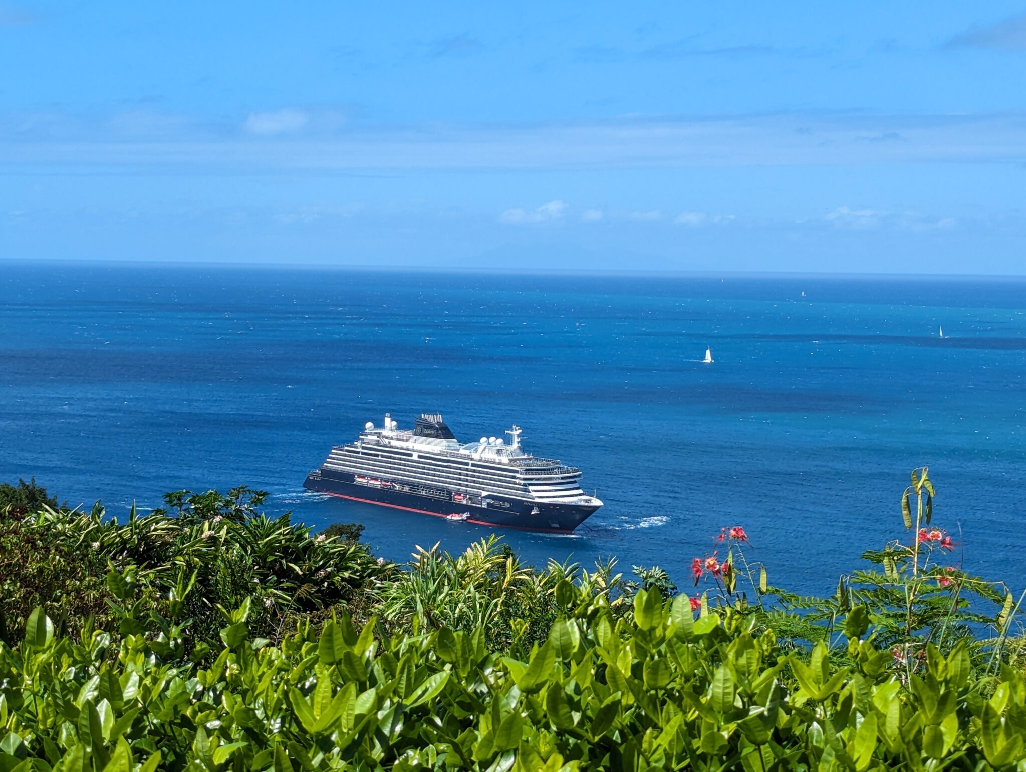 a cruise ship in the water