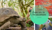 Galapagos islands