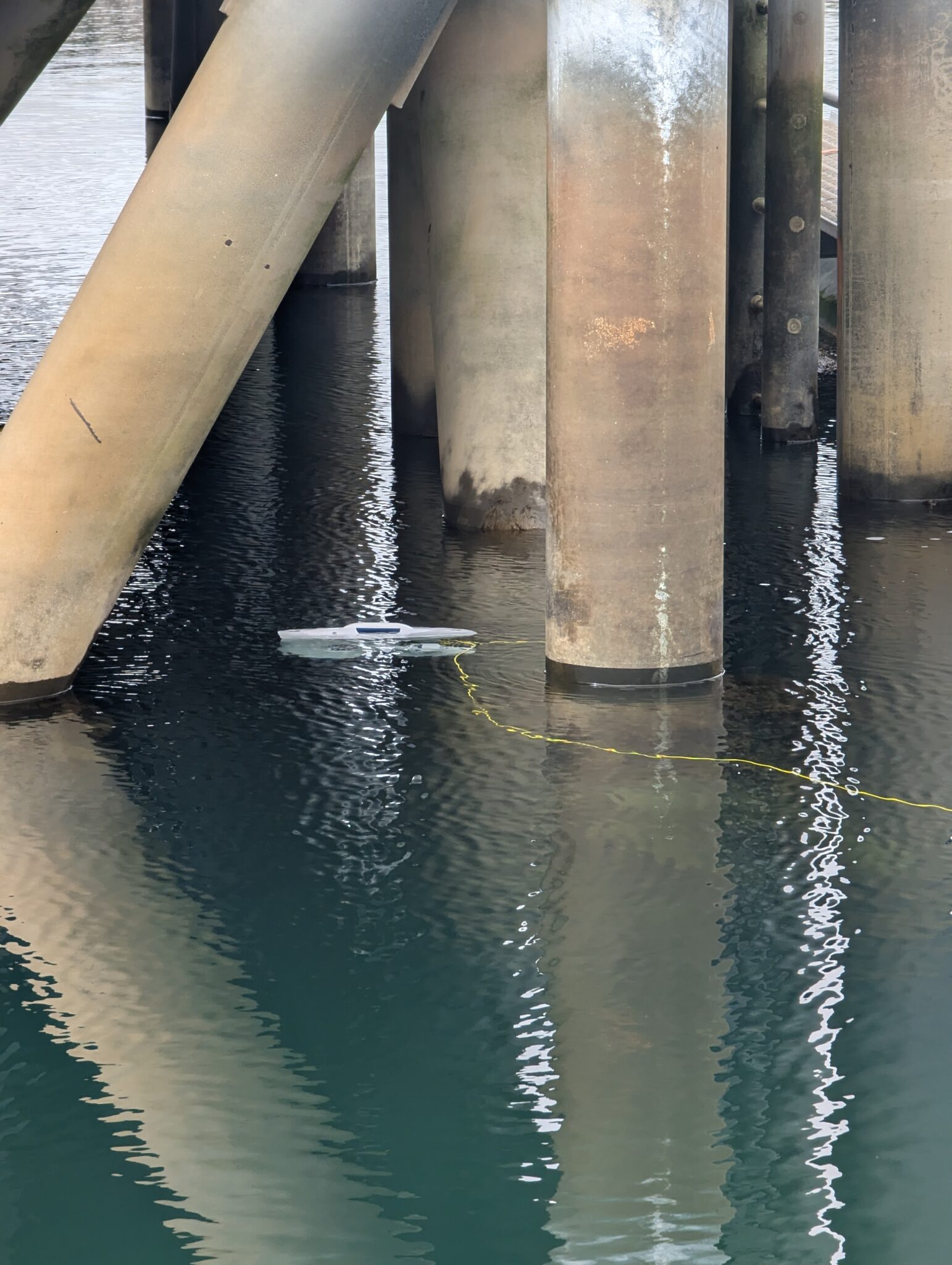 a floating device in the water