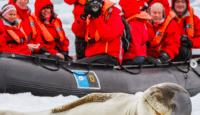 a seal on a boat in the snow