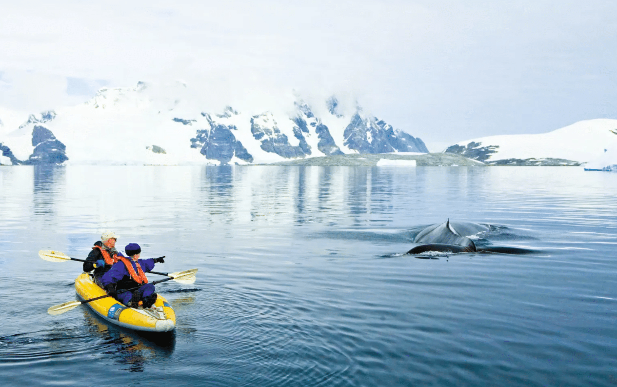 a couple of people in a boat in the water with a whale in the background
