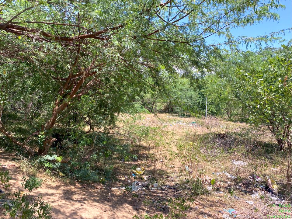 Remnants of dad's childhood home in India