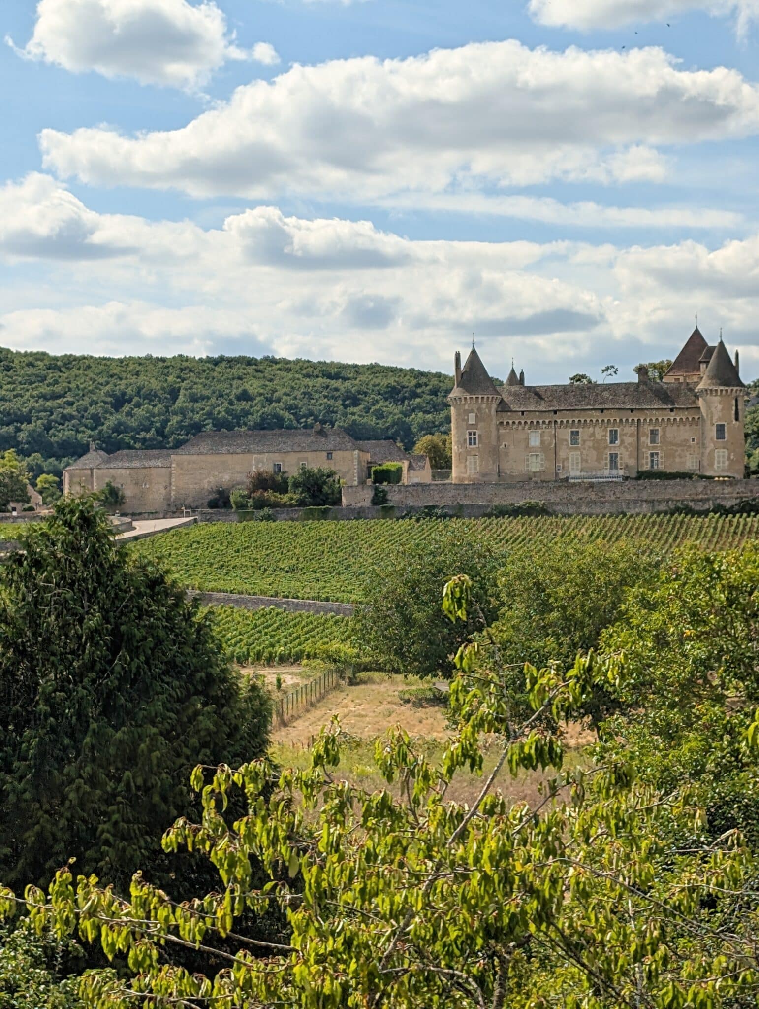 a large stone building with a large field of trees