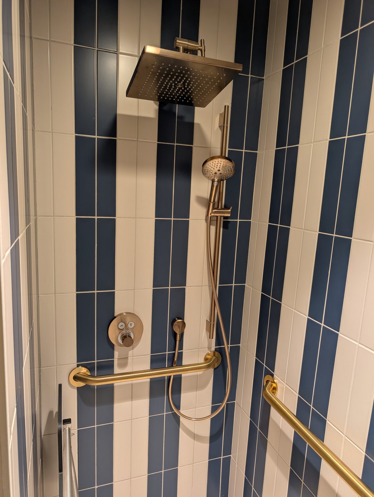 a shower with a hand shower and a bar