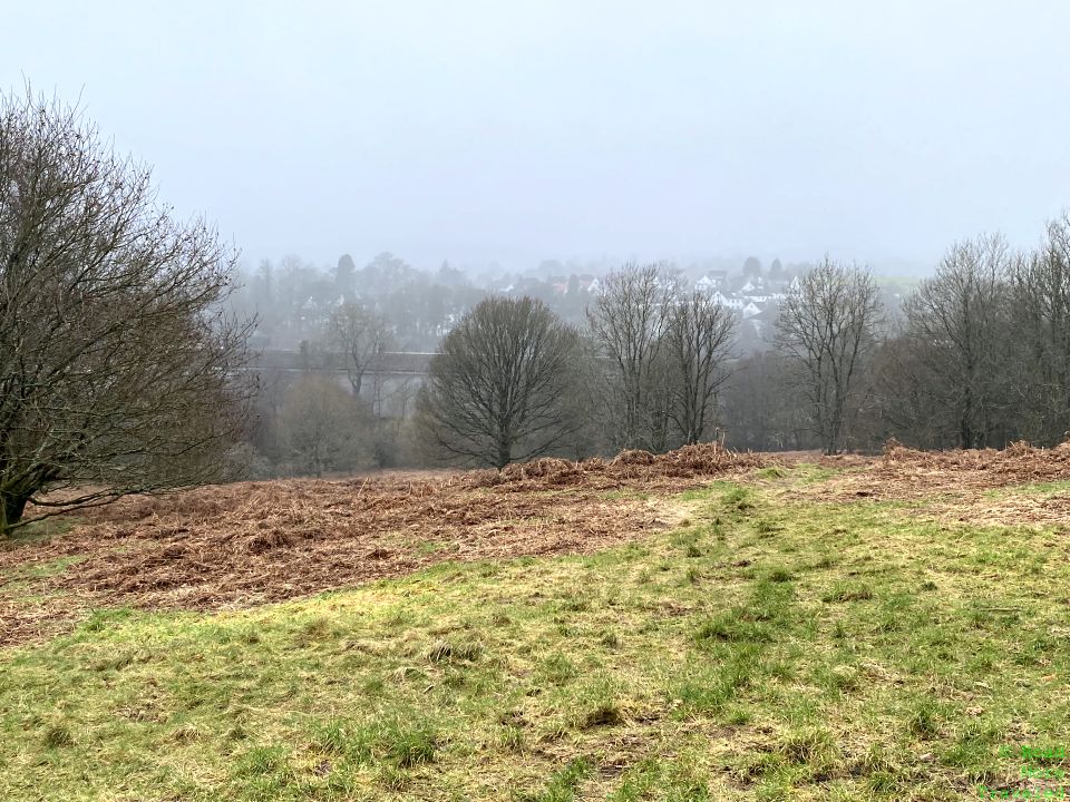 Seven Miles of the West Highland Way - climb to Mugdock County Park 